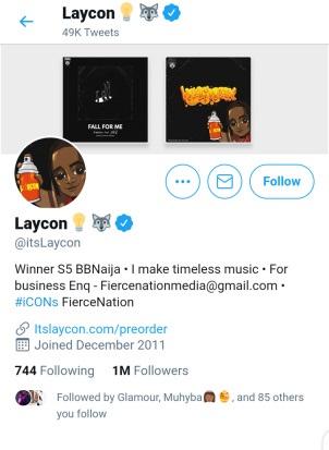 Icons mock Erica, as Laycon hits 1 million followers on Twitter