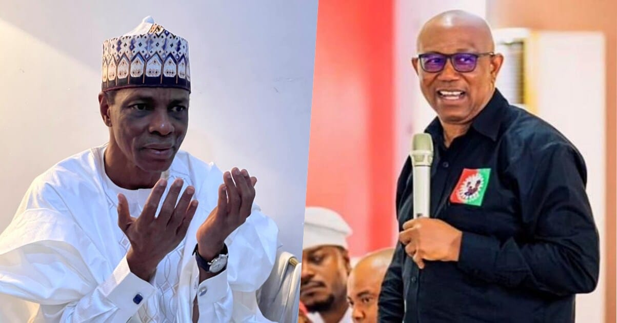 Shagari explains why he rejected to become Peter Obi's running mate
