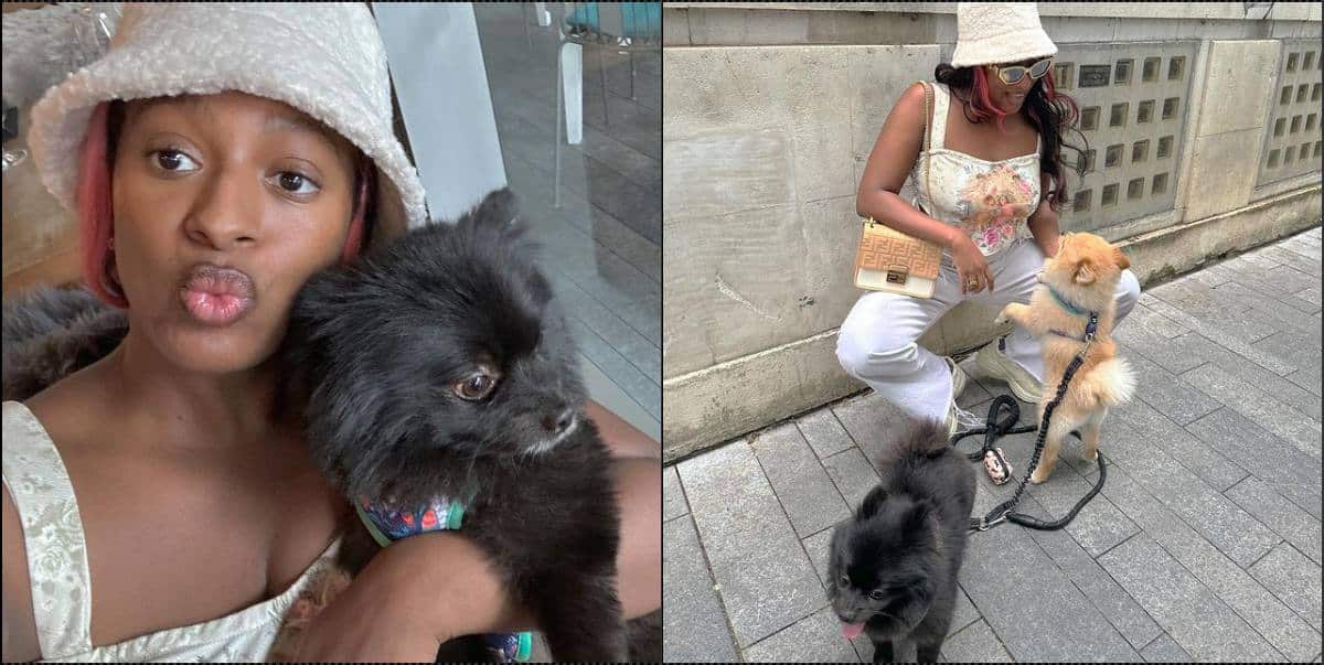 "Single mother of two" — DJ Cuppy says, pose with her dogs following alleged breakup