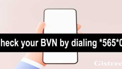 How-to-check-BVN