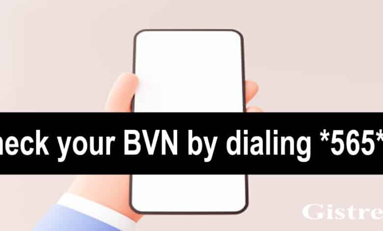 How-to-check-BVN