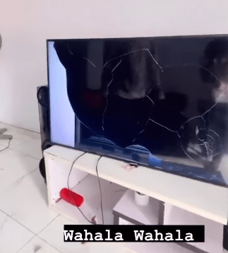 Nigerian man's angry reaction to girlfriend breaking TV causes buzz online