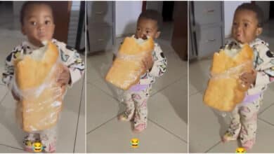 "Her own Christmas don start" - Little girl causes buzz as she excitedly grabs oversized loaf of bread, eats it