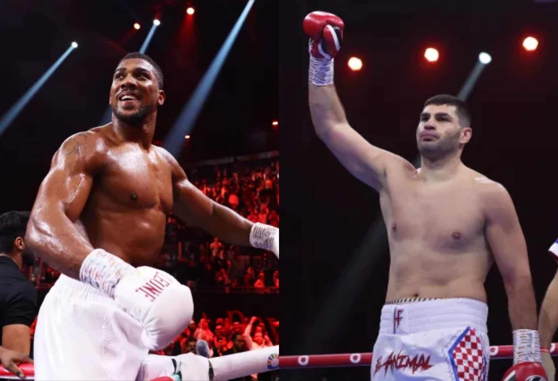 Anthony Joshua Eyes World Title Clash With Croatian Filip Hrgovic After