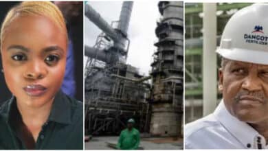 "The competition is tough" - Lady leaks secret as another billionaire, after Dangote, begins his refinery