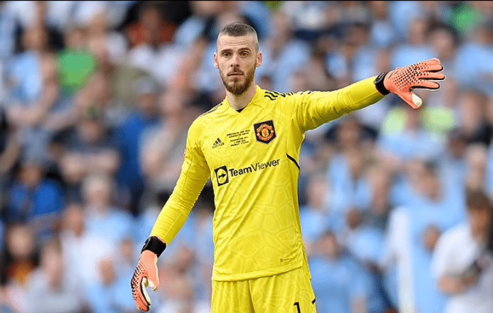 Newcastle consider surprising move for David de Gea following Nick Pope's Injury woes
