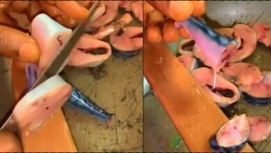 Woman adjusts amidst high cost of living, cuts one fish into 18