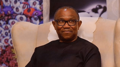 “How greedy team member pocketed N60M donated to Peter Obi during 2023 election campaign” — Obidient Supporter reveals