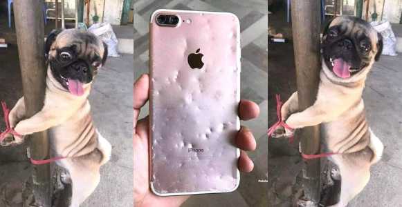 Nigerian lady punishes her dog for chewing her iPhone (Photos)