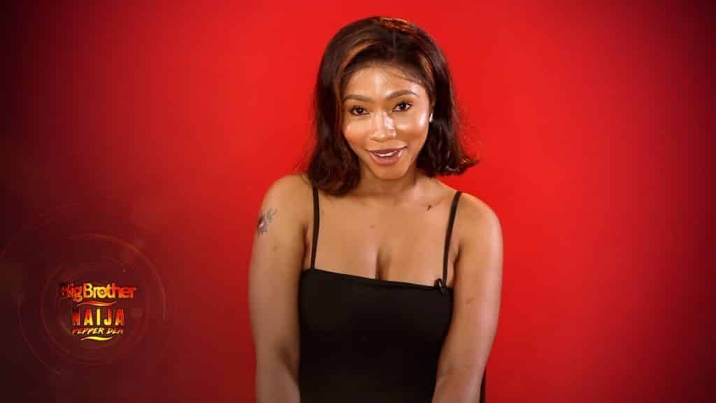 BBNaija 2019 What Mercy told Biggie about new housemates -1