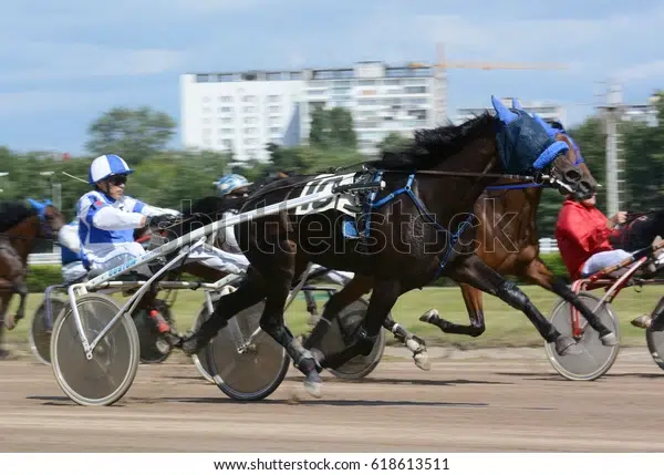 Ranking the best harness race horses of all time