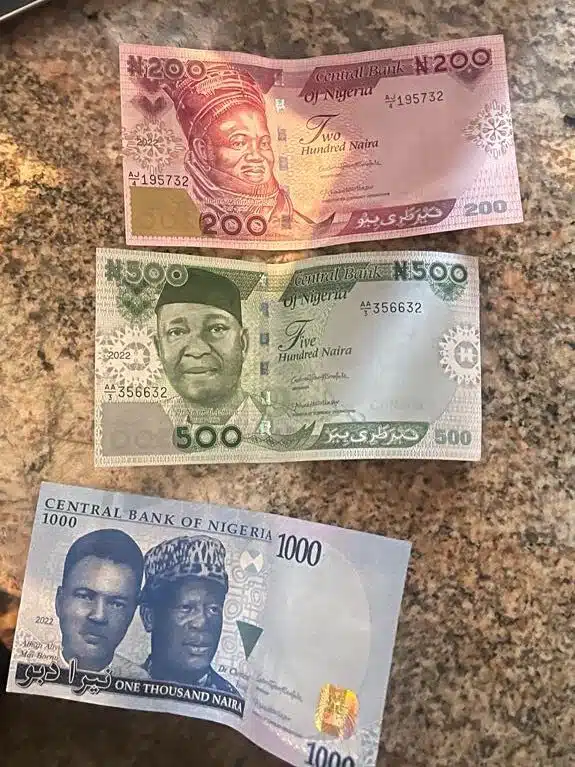 See photos of the new Naira notes President Buhari unveiled today