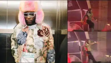 Moment Burna Boy kicks fan off stage (Video)