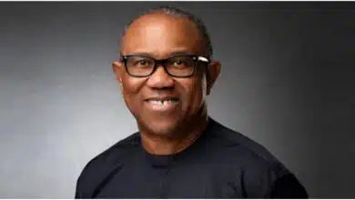 2023 Elections: Let's be calm and be persistent in demanding that the right thing be done - Peter Obi on election results