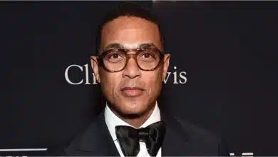 Don Lemon sacked by CNN after 17 years