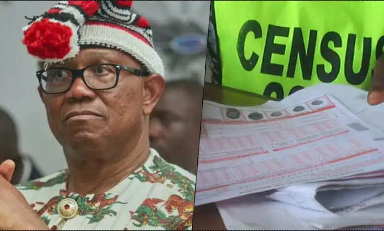 Peter Obi reacts as FG postpones 2023 census