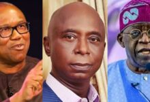 Peter Obi's petition against Tinubu is an effort in futility - Ned Nwoko