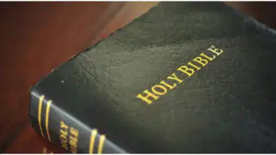 Bible banned in US district after described as 'too vulgar or violent' for children