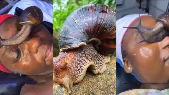 "Its giving ritual vibes" - Lady treating skin allows live snail crawl on her face