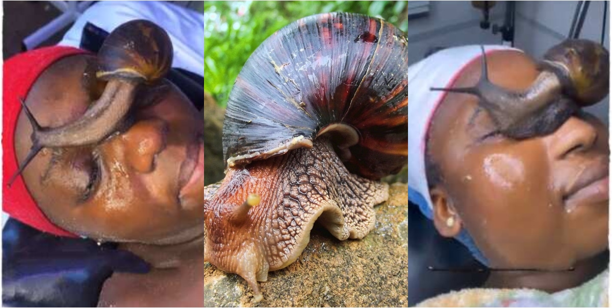 "Its giving ritual vibes" - Lady treating skin allows live snail crawl on her face