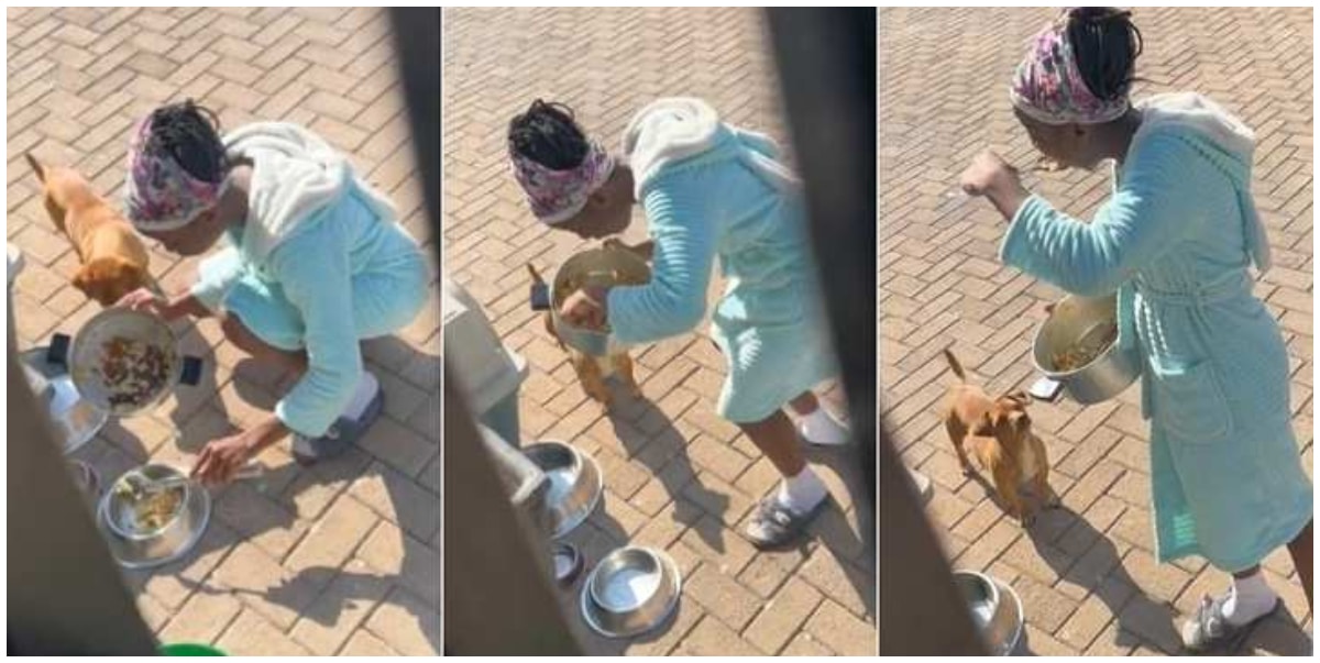 Mother catches daughter eating dog's food - Video