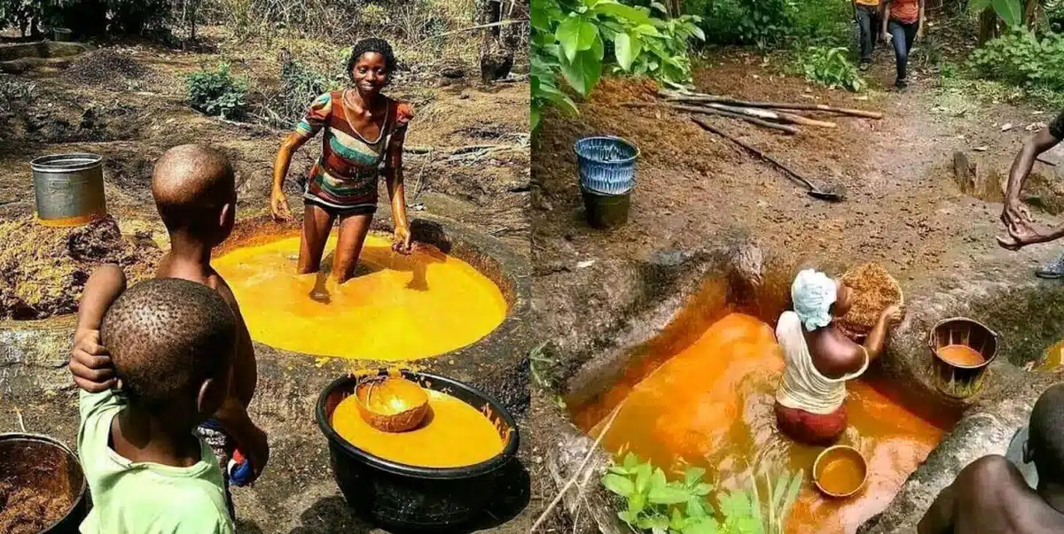 Women Palm Oil