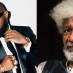 Davido Wole Soyinka apology