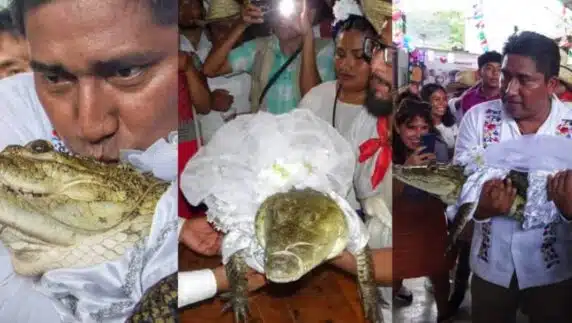 Major of Mexico town reptile