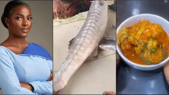 "Someone salary for a meal" — Hilda Baci causes a stir with soup made with N60K fish (Video)