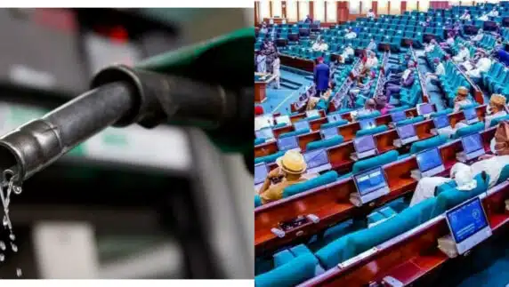 Reps to investigate the increase in fuel pump price