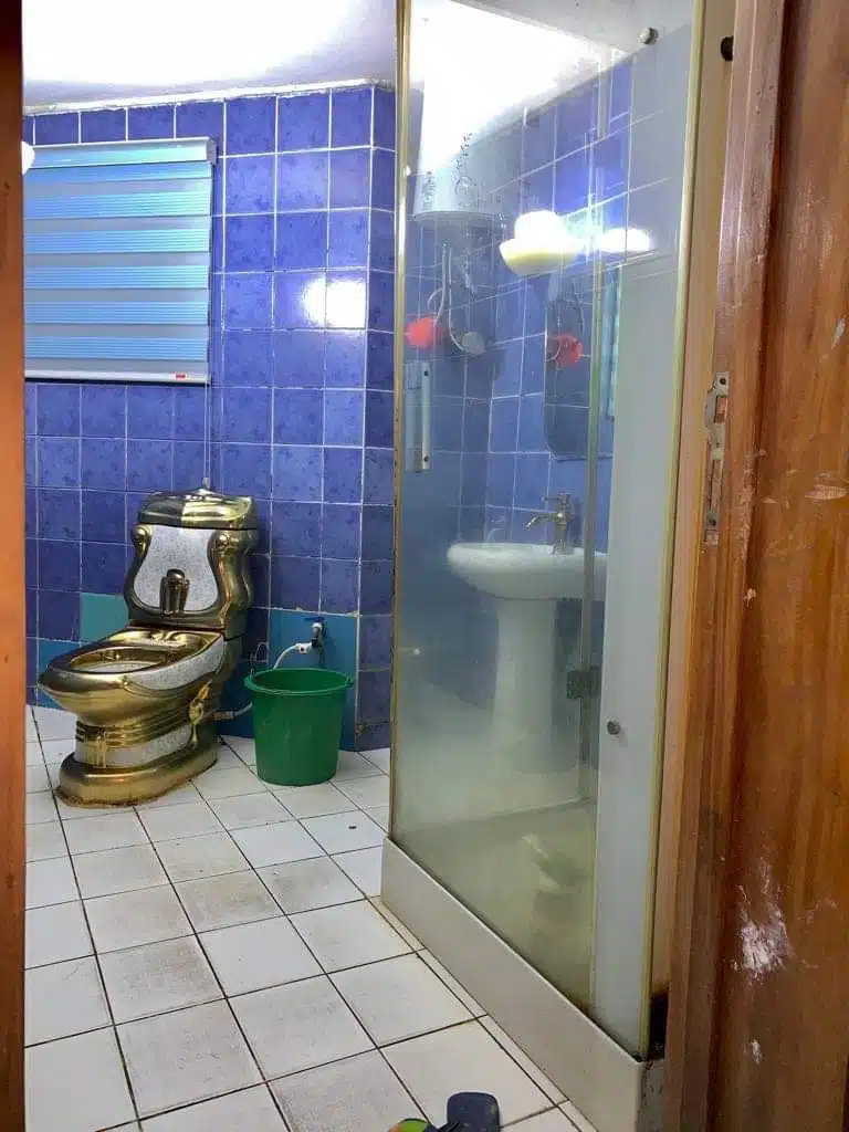 Apostle Chibuzor Chinyere gold toilet