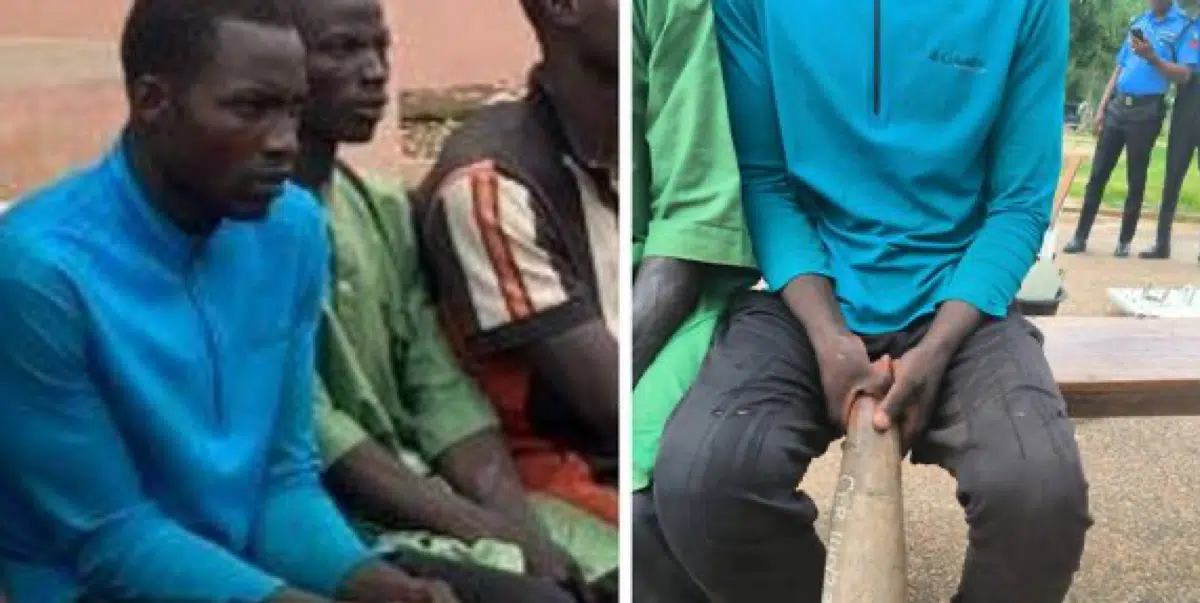 Gombe Man arrested after killing his father with pestle over witchcraft allegations