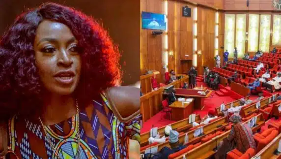 "Nigerians only receive burden, taxes" – Kate Henshaw berates senators over holiday allowances