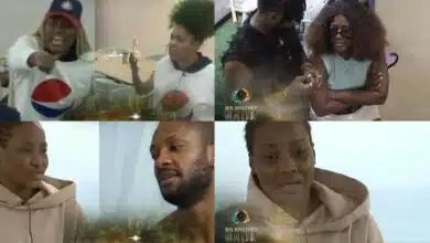 BBNaija Day 41: Alex vs Venita or Adekunle?, Trouble with hair services in the house, Cross claims Ilebaye manipulated him...