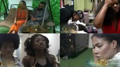 BBNaija Day 43: WhiteLambo babies on the way?, Sholzy is Head of House, Ceec gives Neoenergy the Ike lowdown…