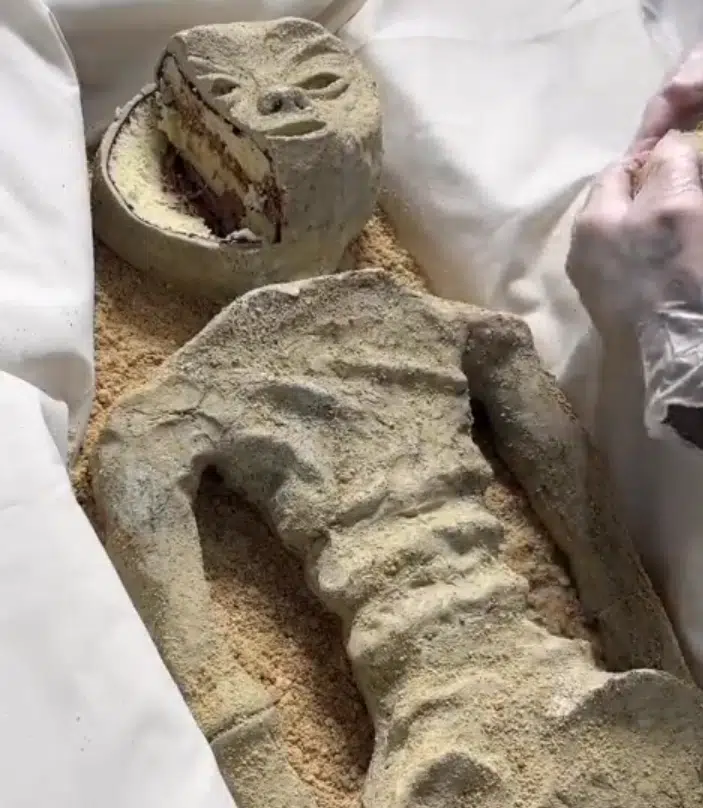 Cake Alien Corpse Video 