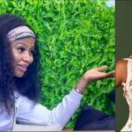 Mercy Eke calls Kim Oprah 'fake housemate' to her face, she responds