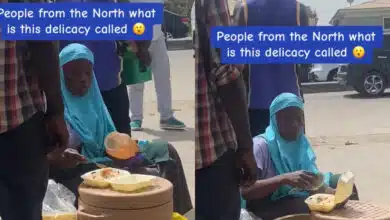 Lady tourist reveals what she discovered with a roadside food vendor as she travels the Northern part of the country