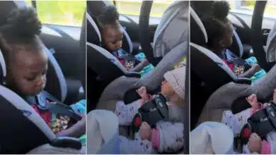 Little girl frowns face after seeing baby sister for the first time