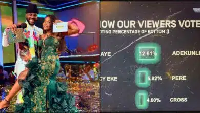 BBNaija All Stars: How viewers voted Ilebaye as winner