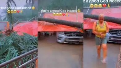 "My mum was standing there, but got a call and rushed to pick it" – Man thanks God for life after tree fell on his Mercedes Benz