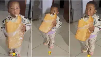 "Her own Christmas don start" - Little girl causes buzz as she excitedly grabs oversized loaf of bread, eats it