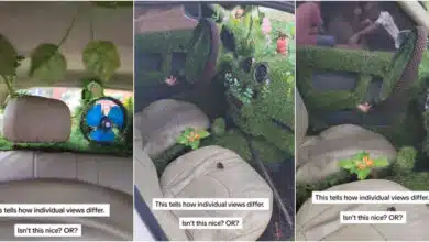 "Agric teacher don finally buy car" - Man causes buzz as he uses grass to redesign his new car