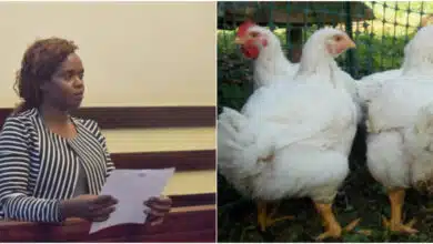 Woman dragged to court for killing her mother's four chickens and threatened to set herself ablaze