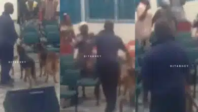 Man storms church with dogs to warn them to stop disturbing neighbourhood