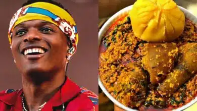 Wizkid eba egusi