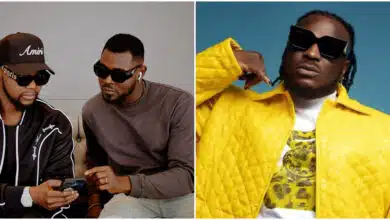 "We never gave Peruzzi the song, Gwagwalada" - Kizz Daniel's brother