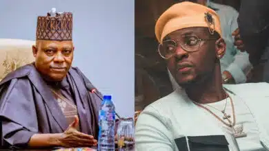 Kizz Daniel's Buga track turning into Nigeria’s second national anthem – Shettima