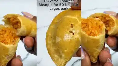 Nigerian lady expresses shock as she finds 'Jollof rice' inside ₦50 meat pie purchased in Lagos park