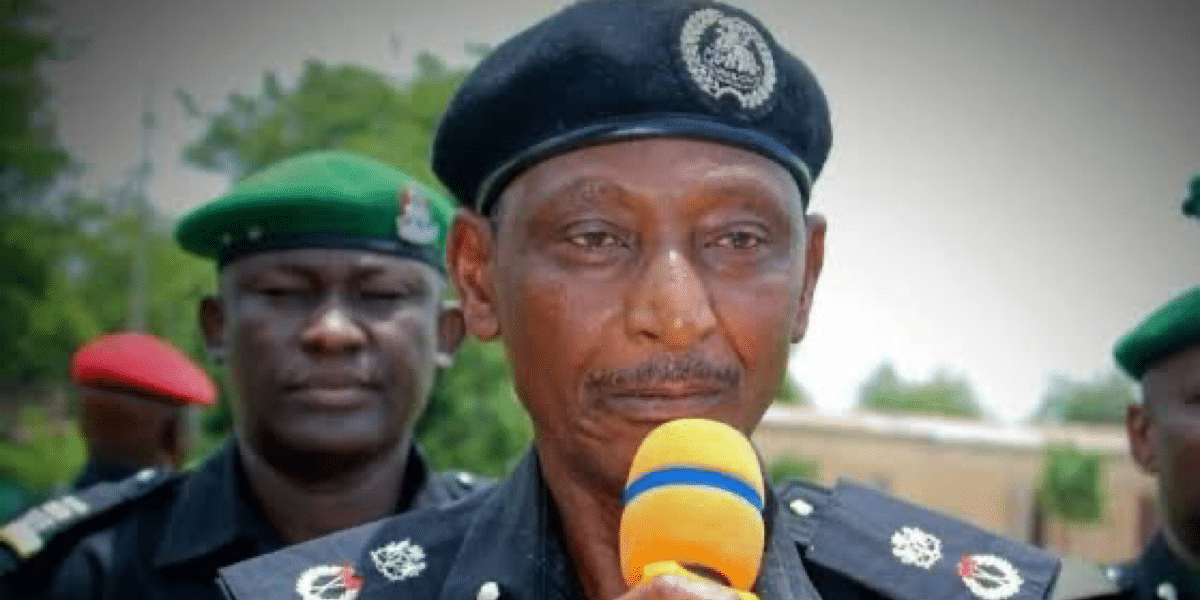 Police arrest thugs allegedly hired to disrupt re-run election in Kano